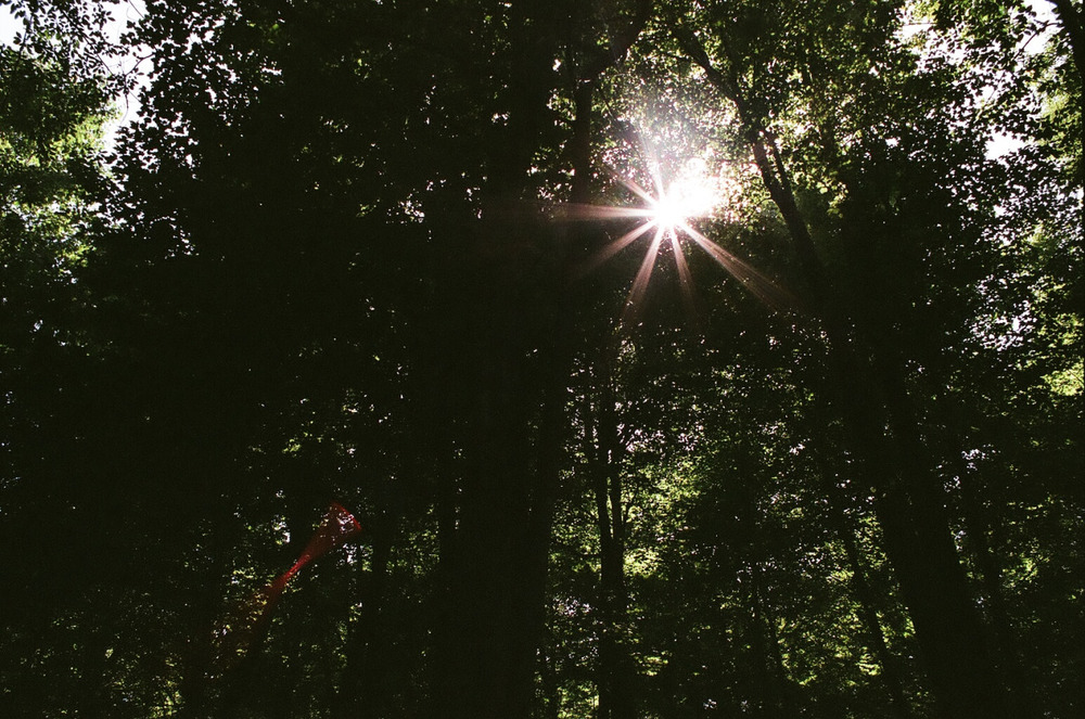 tumblr_n7j08pMM7z1t69yp1o1_1280.jpg