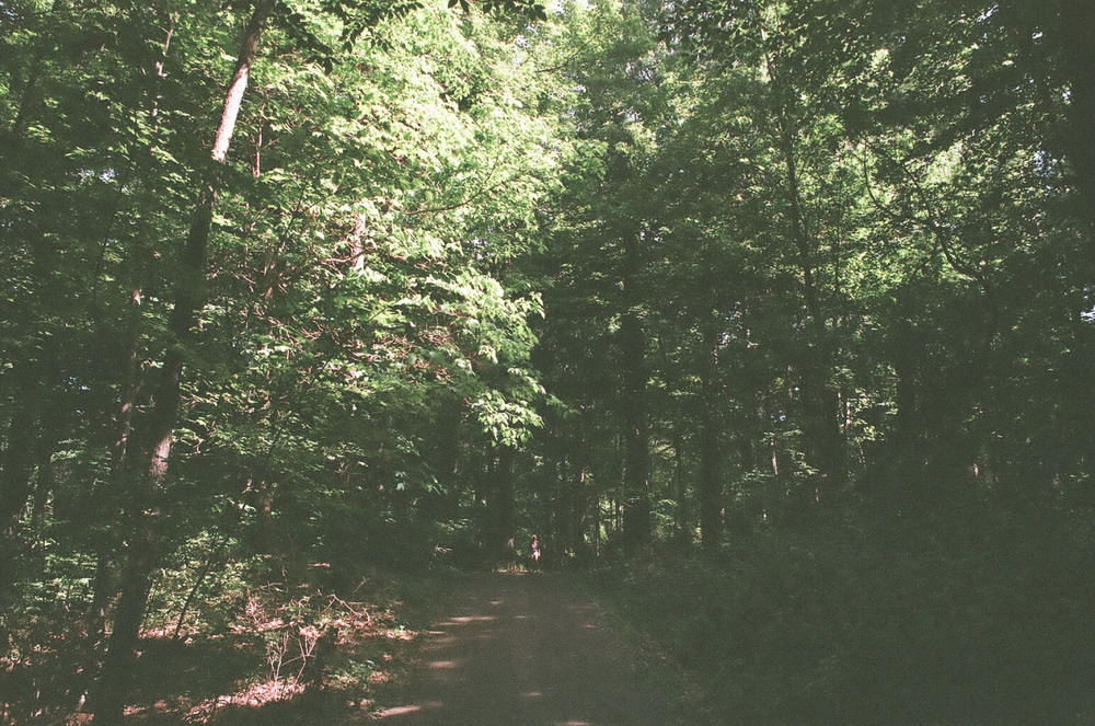 tumblr_n7j08pMM7z1t69yp1o2_1280.jpg