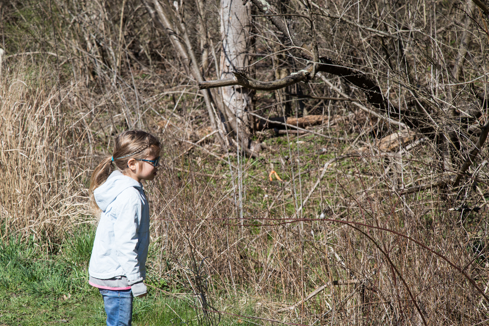 IMG_0195.jpg