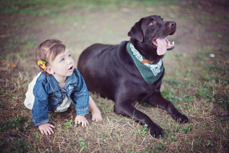 Ava, Michelle and Mike | Dmitriy Babichenko, Pittsburgh Wedding, Event, Portrait and Family Photographer