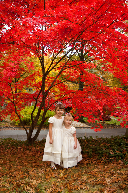 Bill and Maria Wedding Photography