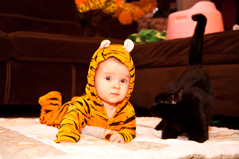 Daniella`s First Halloween