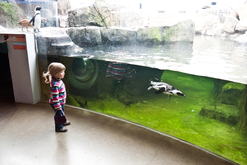 Weekend with Daniella | Pittsburgh National Aviary