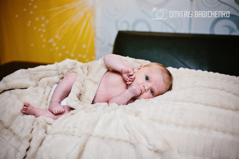 Dmitriy Babichenko Photography