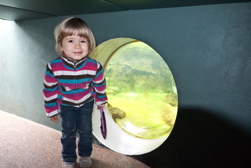 Weekend with Daniella | Pittsburgh National Aviary