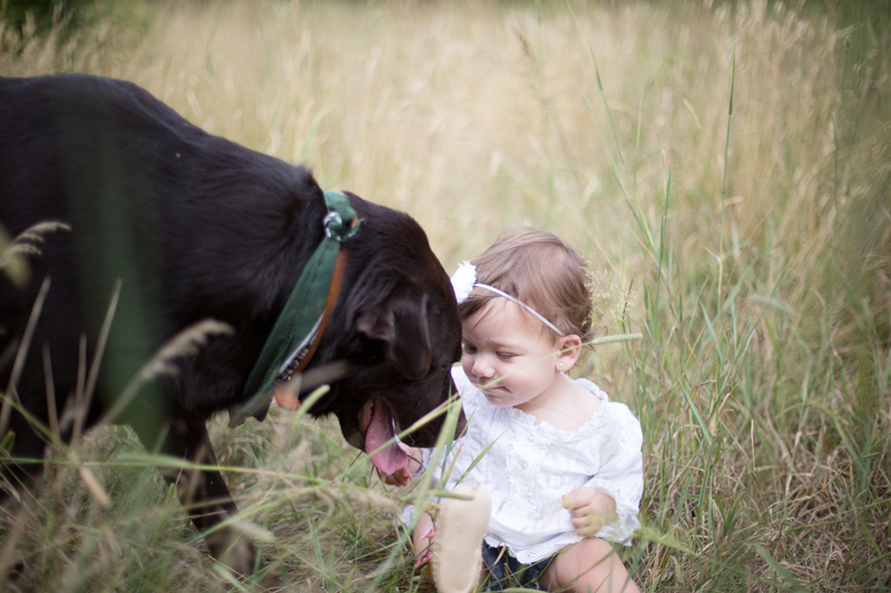 Ava, Michelle and Mike | Dmitriy Babichenko, Pittsburgh Wedding, Event, Portrait and Family Photographer