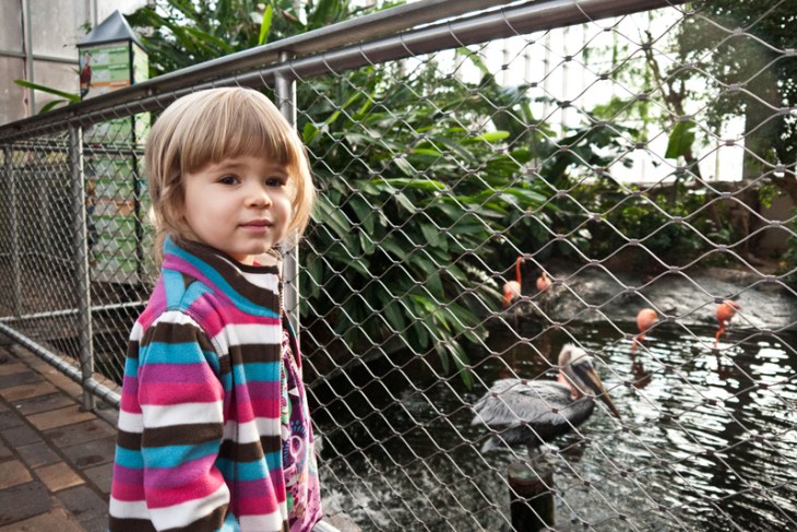Weekend with Daniella | Pittsburgh National Aviary