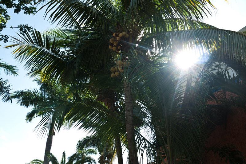 Vacation in Mexico | Dmitriy Babichenko Photography