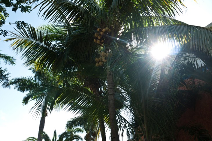 Vacation in Mexico | Dmitriy Babichenko Photography