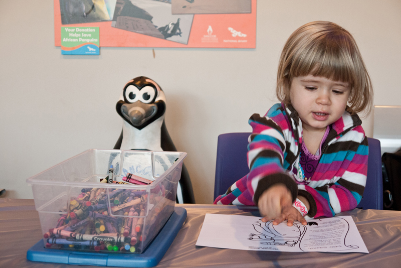 Weekend with Daniella | Pittsburgh National Aviary