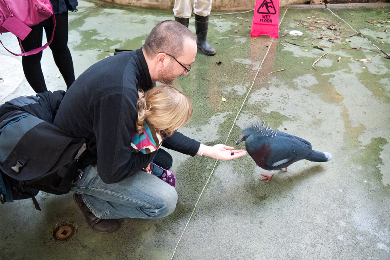 Weekend with Daniella | Pittsburgh National Aviary